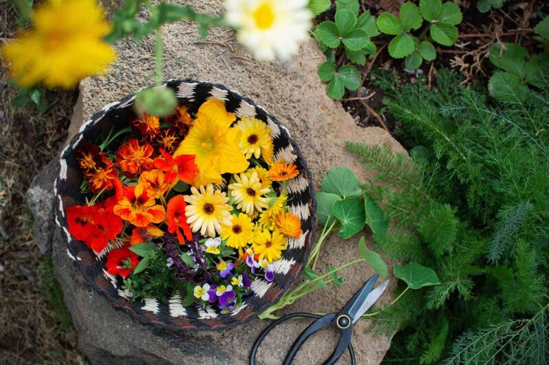 edible flowers